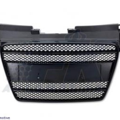Grila Sport ABS  pt  Audi TT (Tip  8J) Anii  06-