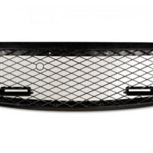 Grila Sport ABS  pt  Skoda Fabia (Tip  6Y) Anii  99-07