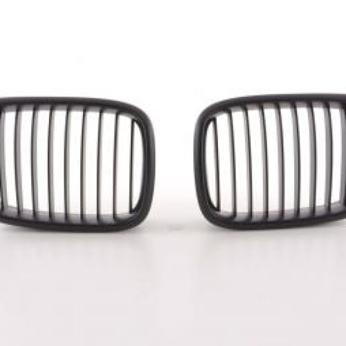Grila Sport ABS  pt  BMW Seria 5  (Tip  E39) Anii  96-05