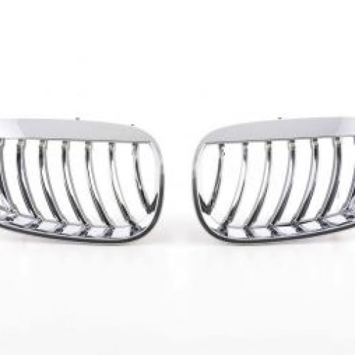 Grila Sport ABS  pt  BMW Seria 5  (Tip  E60) Anii  05-10