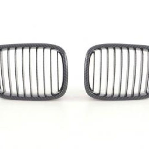 Grila Sport ABS  pt  BMW Seria 5  (Tip  E39) Anii  96-05