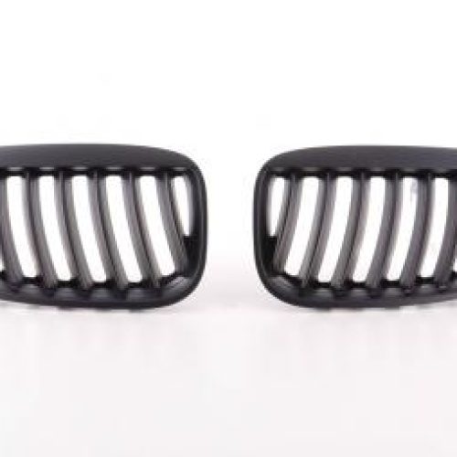 Grila Sport ABS  pt  BMW X5 (Tip  E53) Anii  04-06