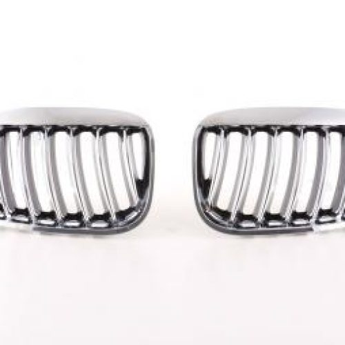 Grila Sport ABS  pt  BMW X5 (Tip  E53) Anii  04-06