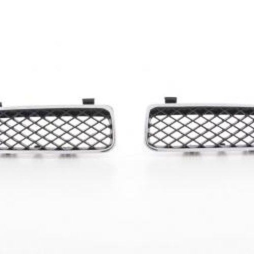 Grila Sport ABS  pt  Renault Scenic (Tip  JA) Anii  97-03